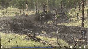 2022 Fish & Game Flash Flood